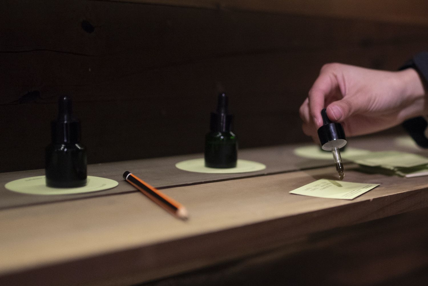 Instalación creada por Valeria Palma para el programa público de las residencias Ecologías de Fuego en Casa Varas, centro cultural en Temuco, abril de 2024. Como resultado de sus investigaciones en Bosque Pehuén, logró extraer aromas de mañío, raulí, tepa, coihue y araucaria. Los asistentes podían oler y adivinar los olores. Marcos Maldonado.