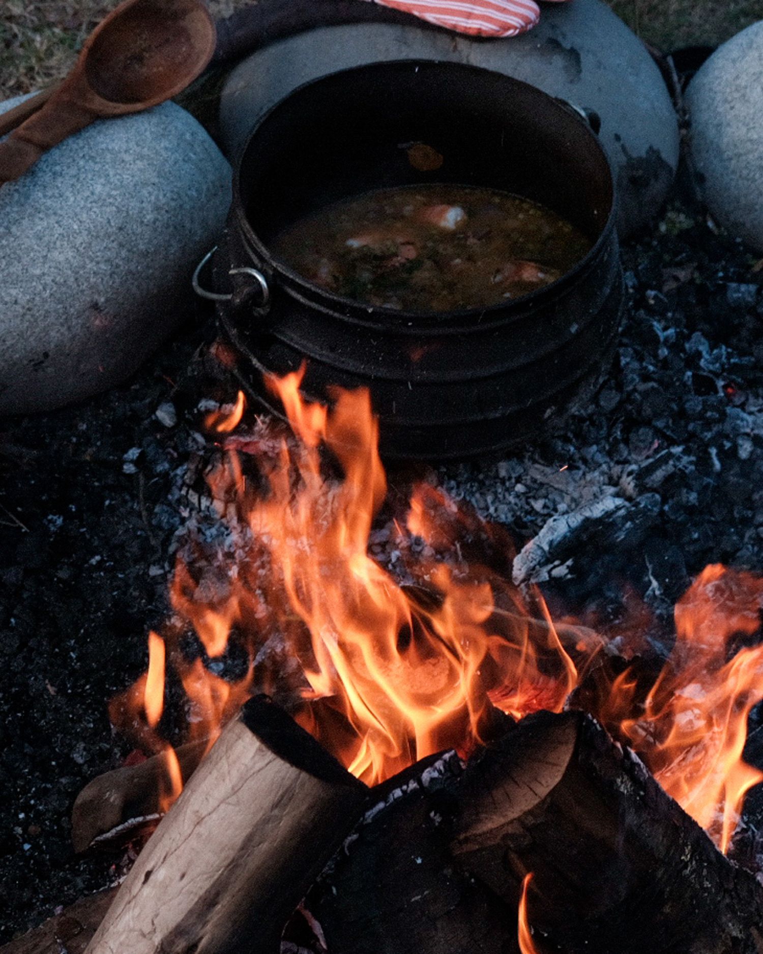 Almuerzo con "sopa de fuego" durante la escuela de campo en Bosque Pehuén. Maya Errázuriz, 2024.