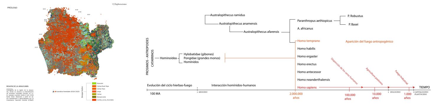 Diagram 1. Evolution of the human species and the emergence of anthropogenic fire. Prepared by Gianna Salamanca based on a review of secondary sources.