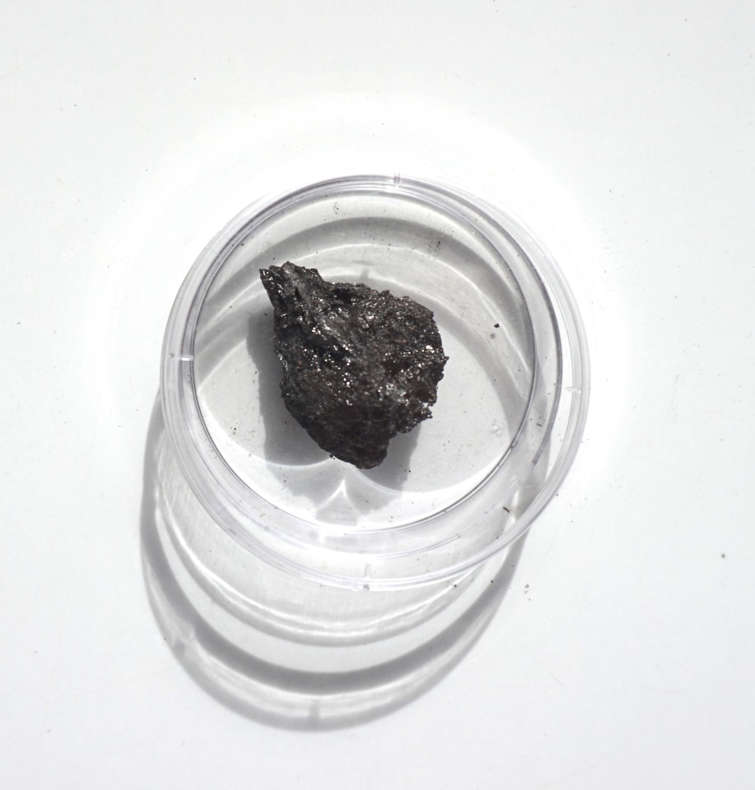 Sample 1. Charcoal fragment from Bosque Pehuén, 2024. Phase: Pyrolysis, entering the advanced charring stage.