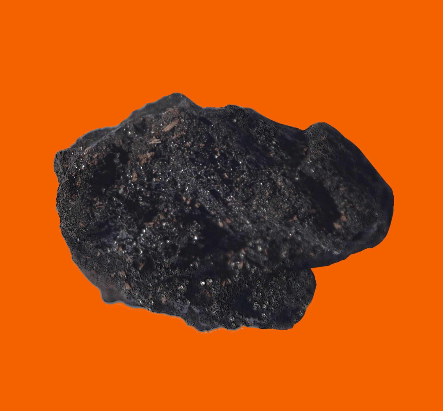 Object 7. Charcoal sample. China Muerta National Reserve (2024).