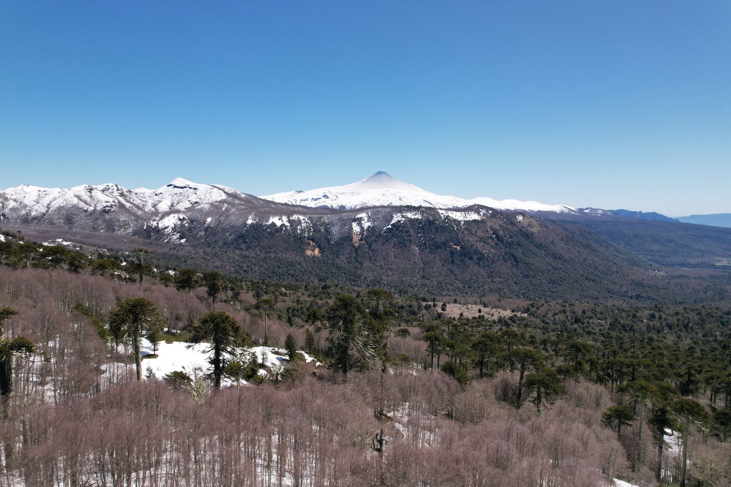 Drone view from Bosque Pehuén of Villarrica Volcano. Jennifer Gabrys, 2023.