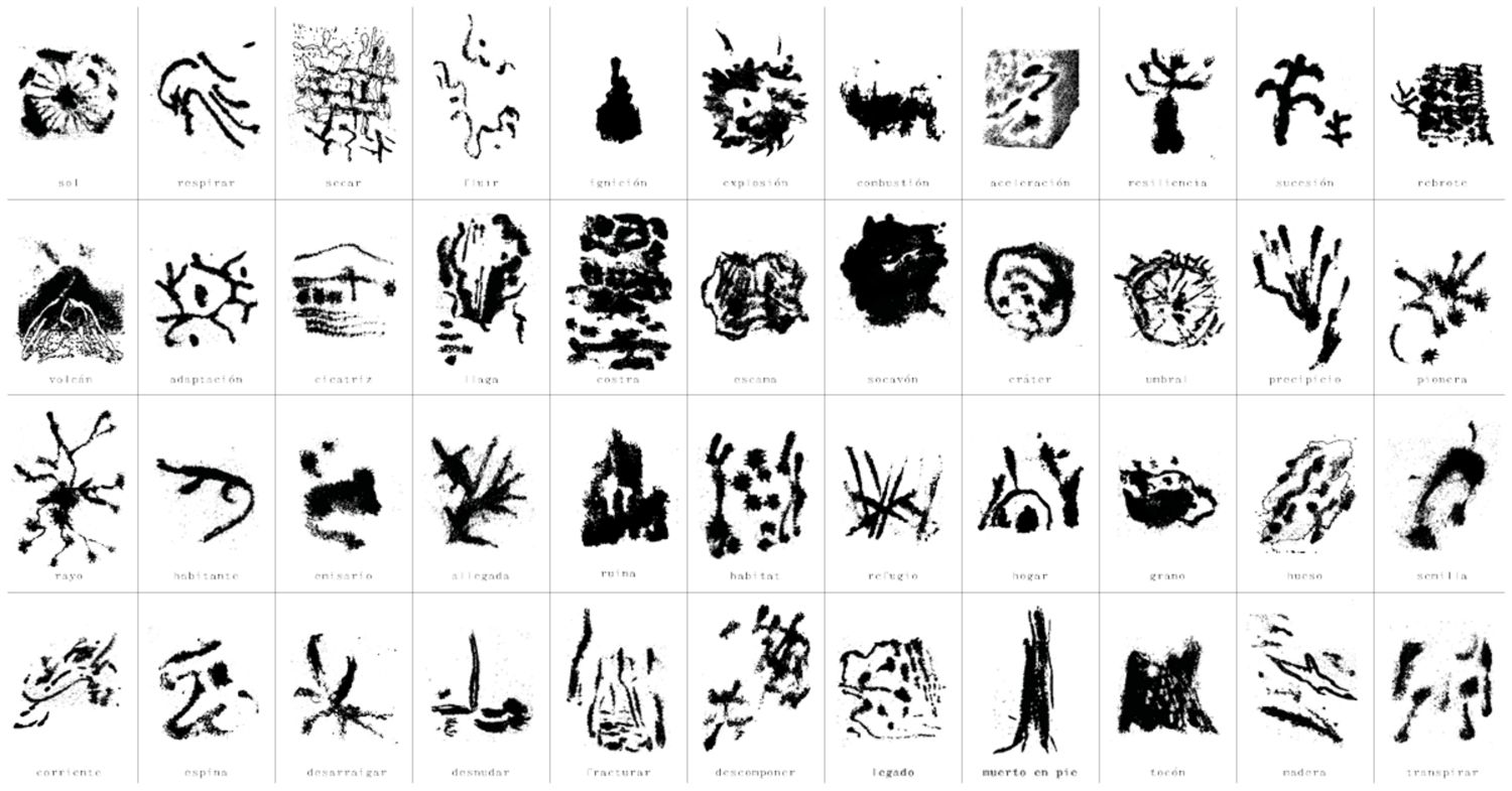 “The Forest Fire as Planetarium: A Prophetic Game” card set created by Bárbara Acevedo Strange during the Bosque Pehuén – Ecologies of Fire residencies, 2024.
