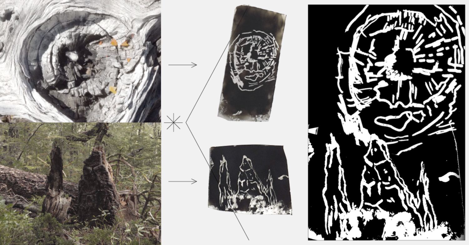 Creative process behind the design of “The Forest Fire as Planetarium: A Prophetic Game” created during the Bosque Pehuén – Ecologies of Fire. Bárbara Acevedo Strange, 2024.