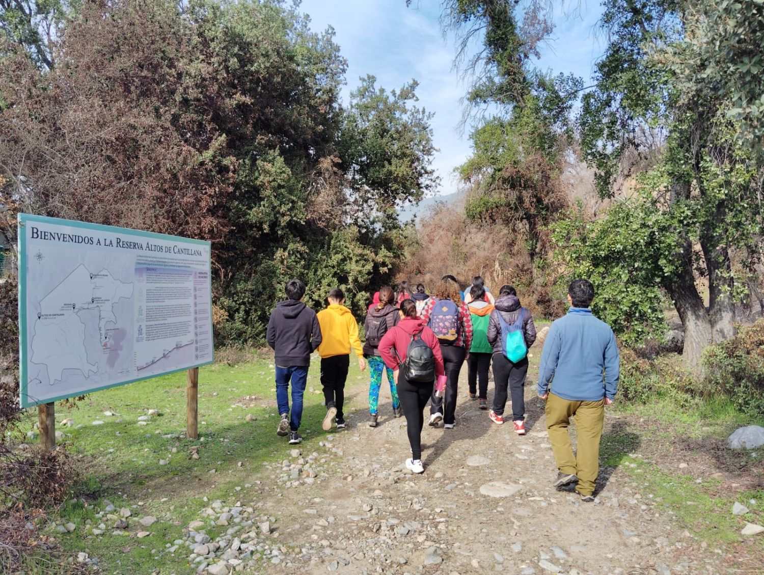 Caminata en grupo para visitar las zonas quemadas y en regeneración en los Altos de Cantillana. Pablo González Rivas para Smart Forests, 2024.