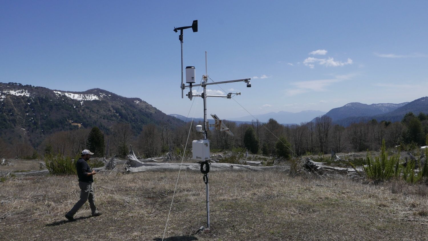 Andrés Fuentes Ramírez at weather monitoring station, Bosque Pehuén. Jennifer Gabrys, 2024.