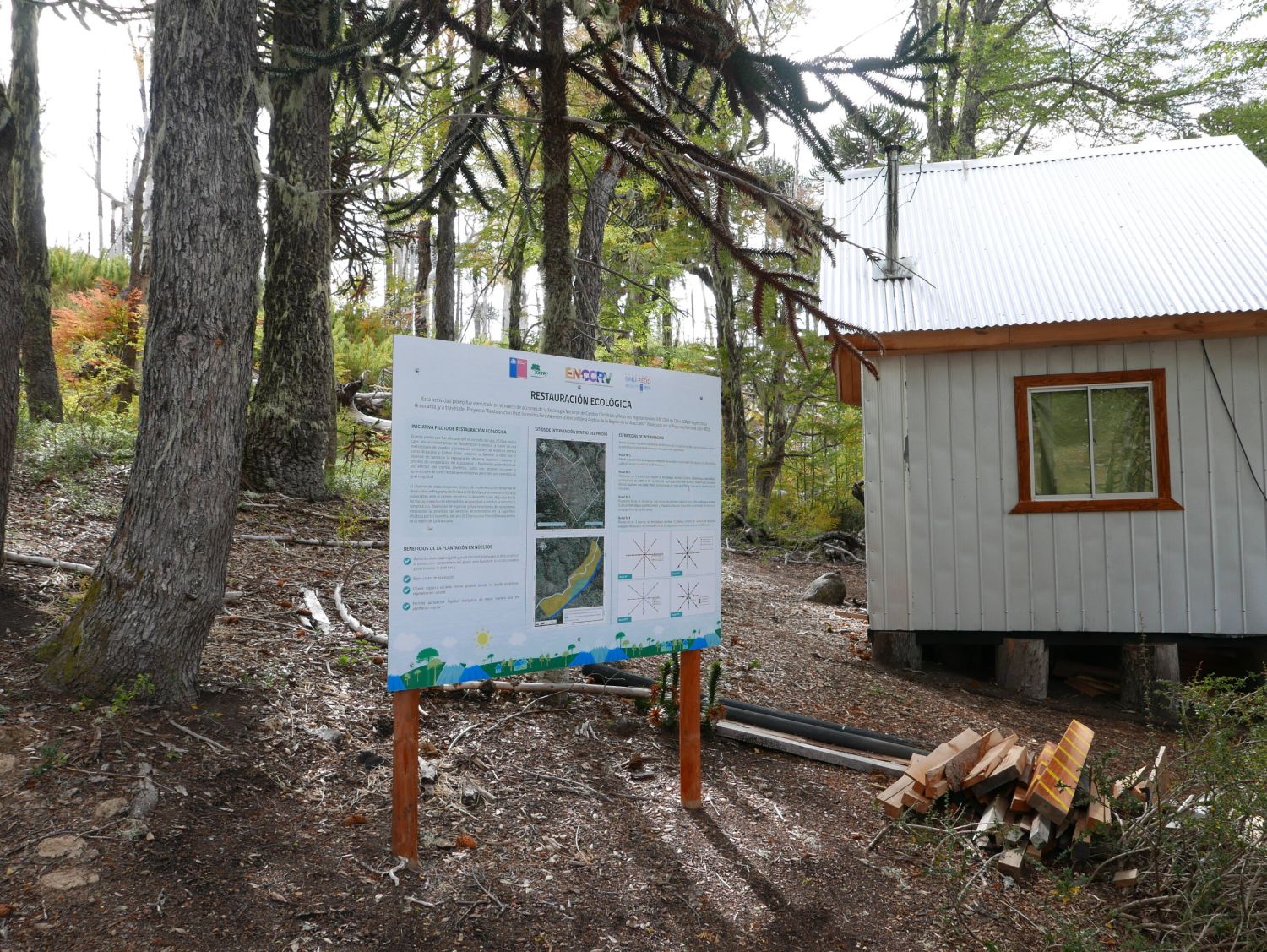 Ecological restoration area at China Muerta. Jennifer Gabrys, 2024. 
