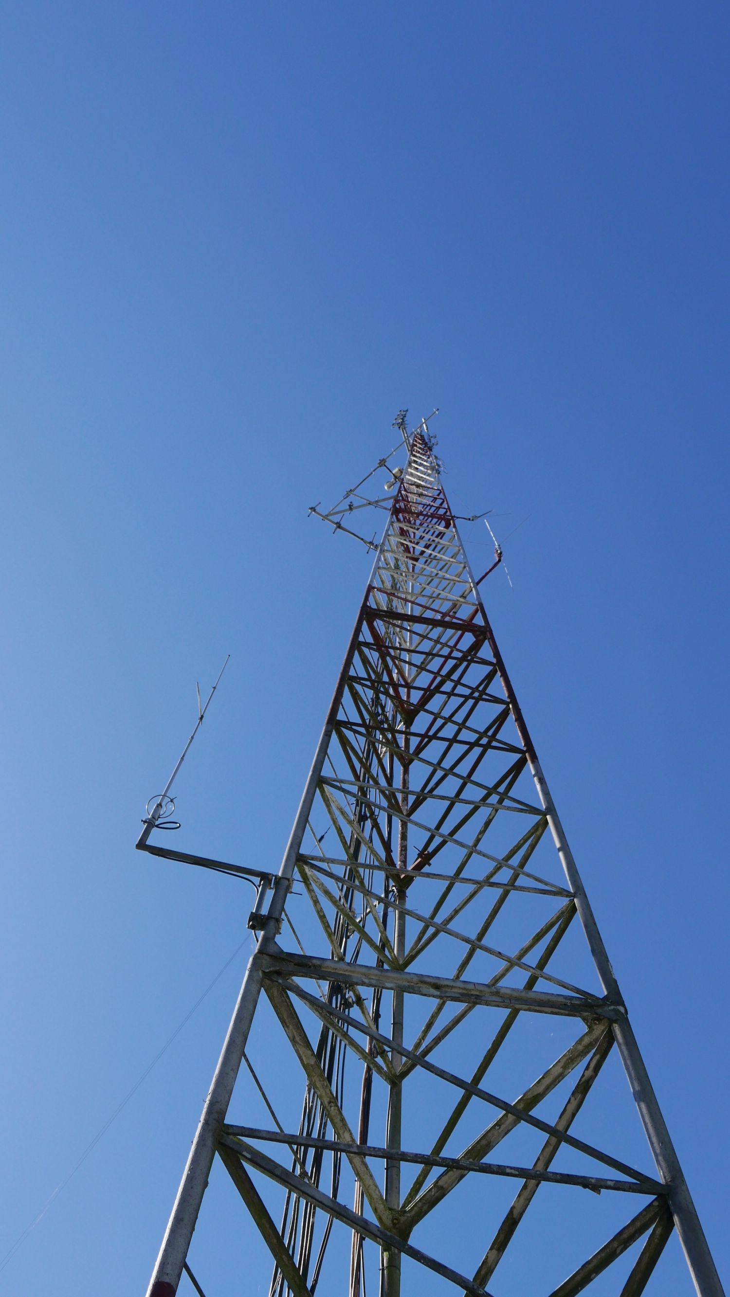 Torre de comunicaciones en la sede de CONAF Boldo 1, Temuco. Jennifer Gabrys, 2024.
