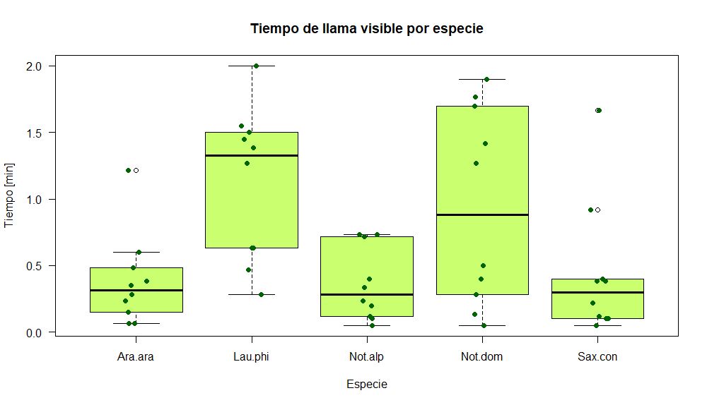 Tiempo en minutos desde que se genera la ignición hasta que se apaga la llama en la materia vegetal. Visualmente Laureliopsis philippiana (tepa) y Nothofagus dombeyi (coihue) presentan un comportamiento poco claro, con una llama que a veces está encendida menos de 15 sec y otras hasta 2 min, a pesar de esto, solo la tepa presenta diferencias estadísticas con araucaria.  Cabe destacar que araucaria, raulí y mañío hembra no logran mantener una llama encendida por un tiempo considerable, esto las hace poco peligrosas en un entorno de bosque, ya que es poco probable que en ese tiempo logren conducir la llama a otro individuo.