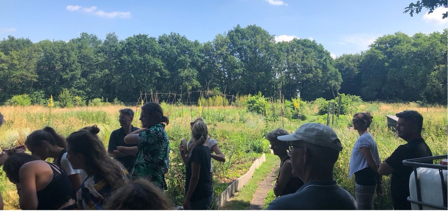 Smart Forests project photo of walking workshop and fieldwork at Ecodorp Boekel. The Netherlands. Michelle Westerlaken with Smart Forests, 2024.
