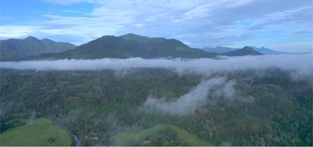 Smart Forests project drone footage showing forested area in Bujang Raba, Indonesia. Yuti Ariani Fatimah with Smart Forests, 2023.
