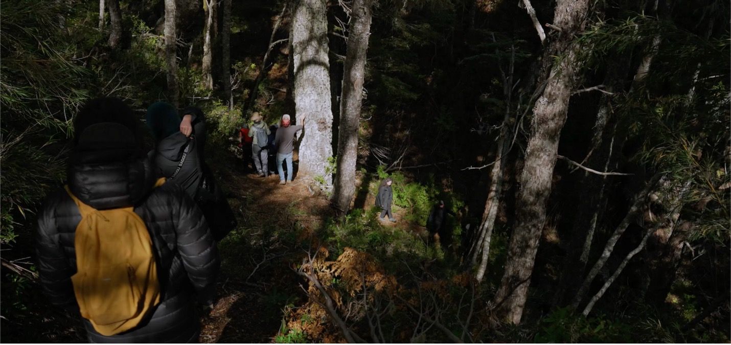  Smart Forests film showing Field School participants during site walk at Bosque Pehuén conservation area. La Araucanía, Chile. Mind the Film with Smart Forests, 2025.