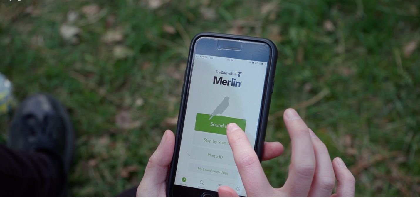 Smart Forests film showing Merlin smart phone application. Cambridge, UK. Mind the Film with Smart Forests, 2025.