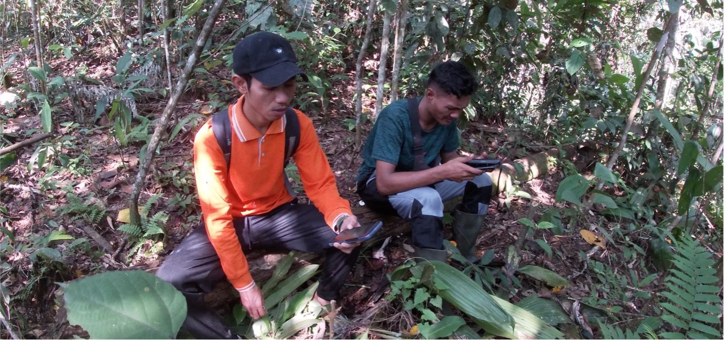Smart Forests film showing two forest patrollers using the Avenza mapping application. Bujang Raba, Indonesia. Mind the Film with Smart Forests, 2025.