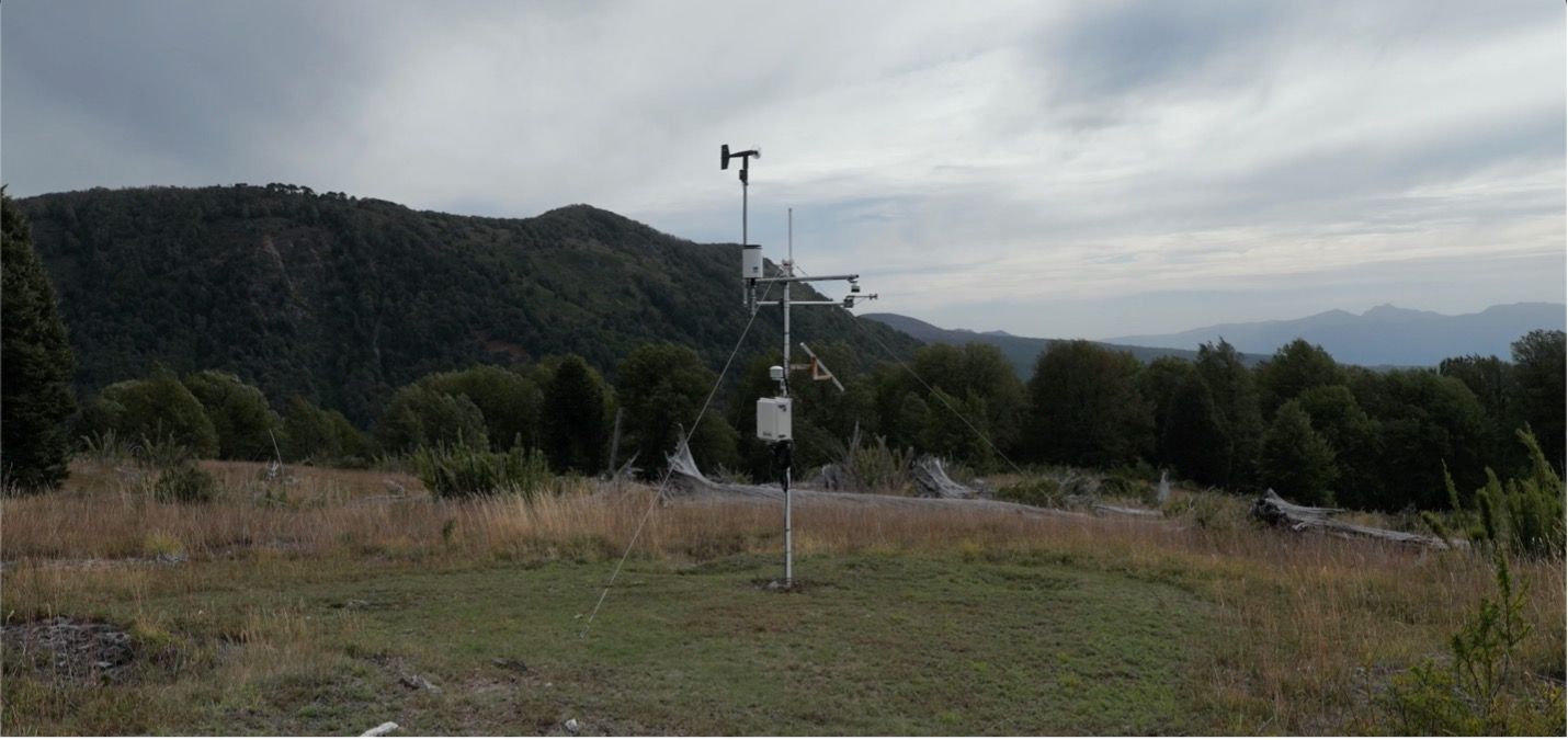 Smart Forests film showing weather station at Bosque Pehuén conservation area. La Araucanía, Chile. Mind the Film with Smart Forests, 2025.