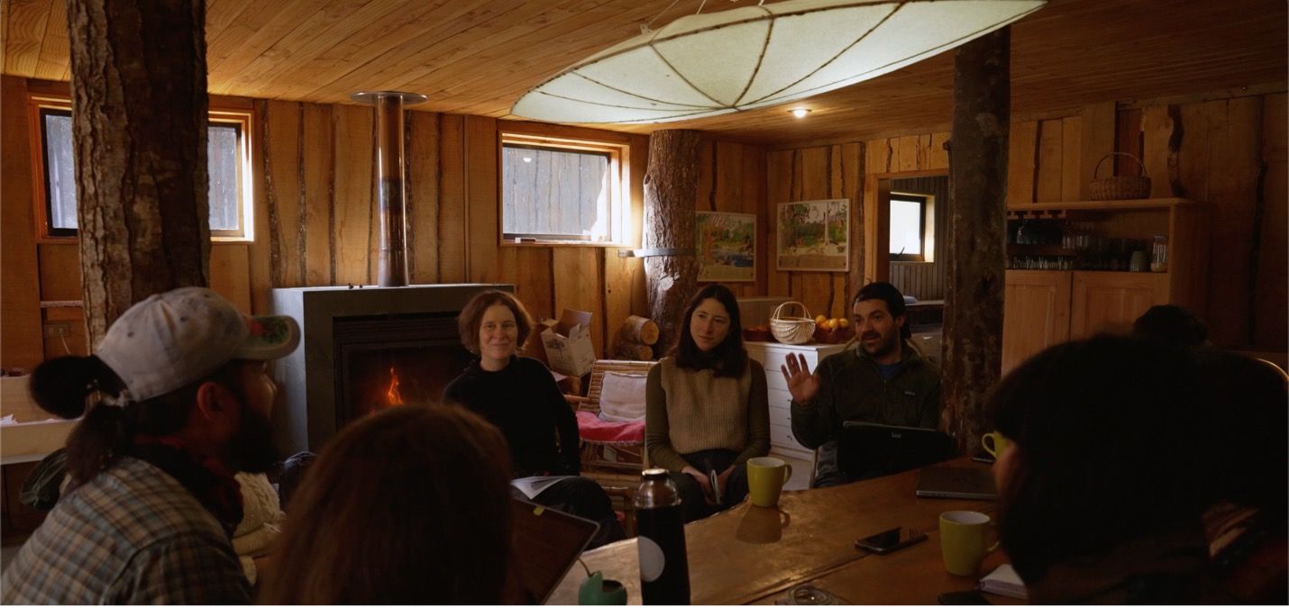 Smart Forests film showing Field School participants at Bosque Pehuén conservation area. La Araucanía, Chile. Mind the Film with Smart Forests, 2025.